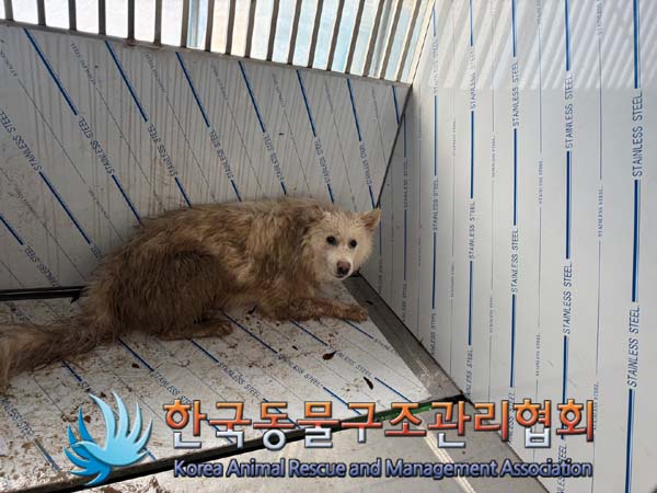 한국동물구조관리협회_441414202400805